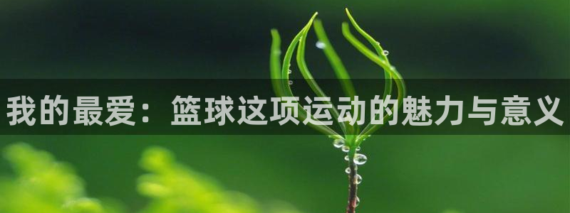 3377体育官网下载开户：我的最爱：篮球这项运动的魅