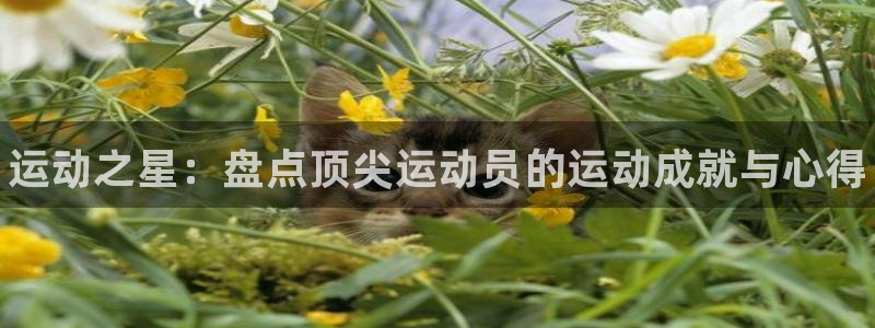3377体育官方正版app五金厂：运动之星：盘点顶尖