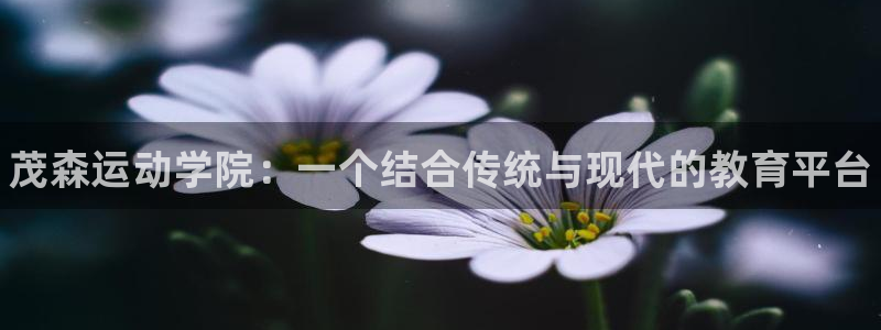 3377体育官方正版app神州：茂森运动学院：一个结