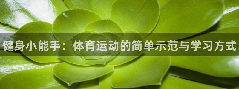 3377体育官网下载平台注册要钱吗是真的吗：健身小能