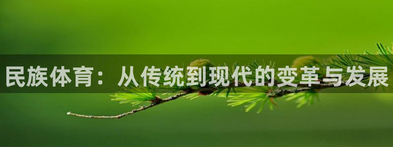 德国3377体育官方正版app集团：民族体育：从传统
