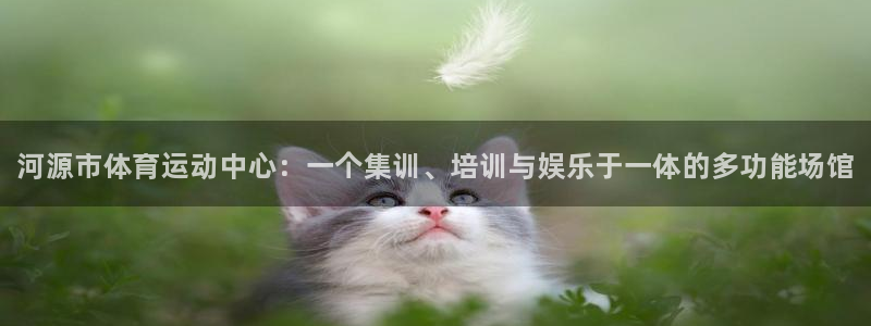 3377体育官网下载：河源市体育运动中心：一个集训、培训与娱