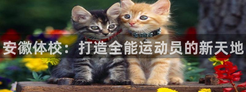 3377体育官方正版app娱乐代理怎么样：安徽体校：打造全能