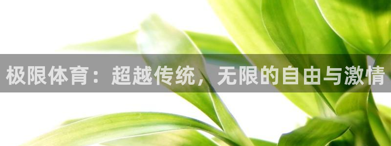 3377体育官网下载软件：极限体育：超越传统，无限的自由与激