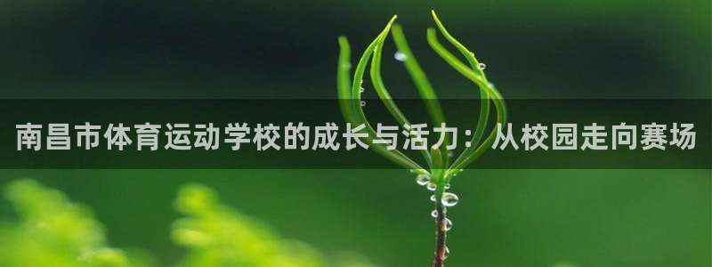 3377体育官网下载平台注册流程图：南昌市体育运动学校的成长