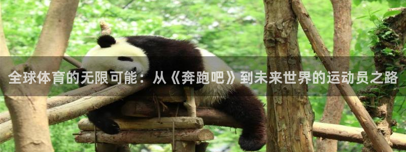 3377体育官方正版app新能源：全球体育的无限可能：从《奔