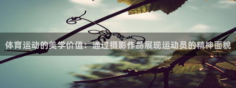 3377体育官网下载招商电话：体育运动的美学价值：通过摄影作