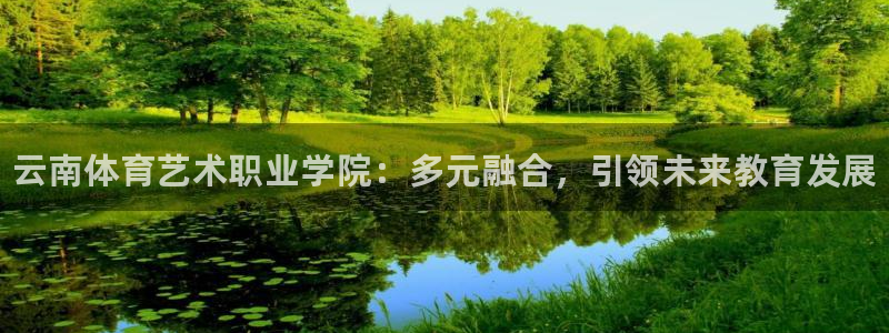 3377体育官方正版app新能源：云南体育艺术职业学院：多元