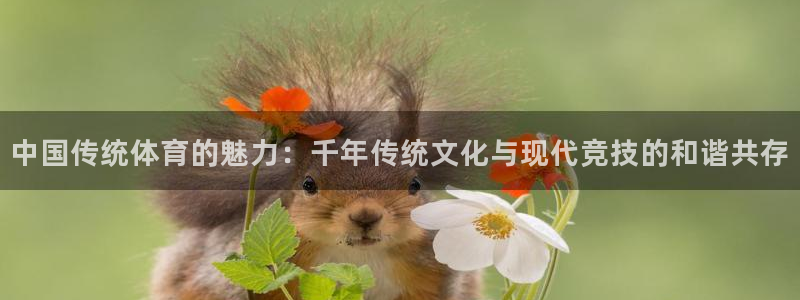 3377体育官方正版app娱乐下载