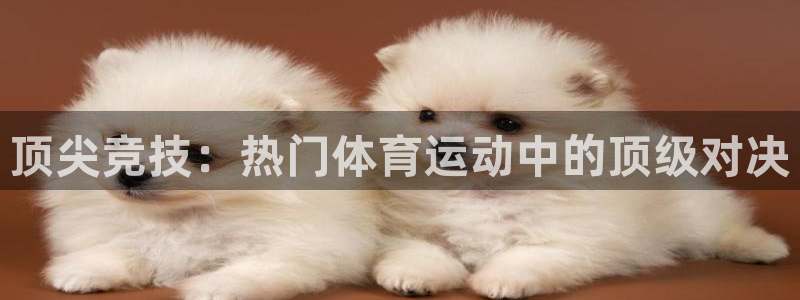 3377体育官方正版app官网：顶尖竞技：热门体育运