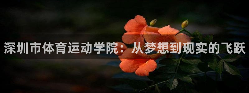3377体育官方正版app官网：深圳市体育运动学院：从梦想到