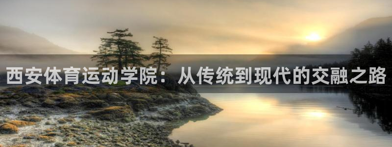 3377体育官网下载是干嘛的公司:西安体育运动学院:从传统到