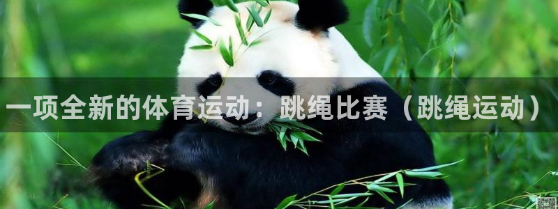 3377体育官网下载平台注册要钱吗是真的吗:一项全新的体育运