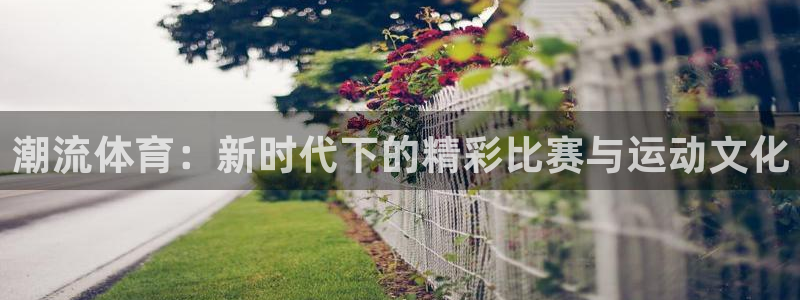 3377体育官方正版app集团官网网址:潮流体育:新时代下的