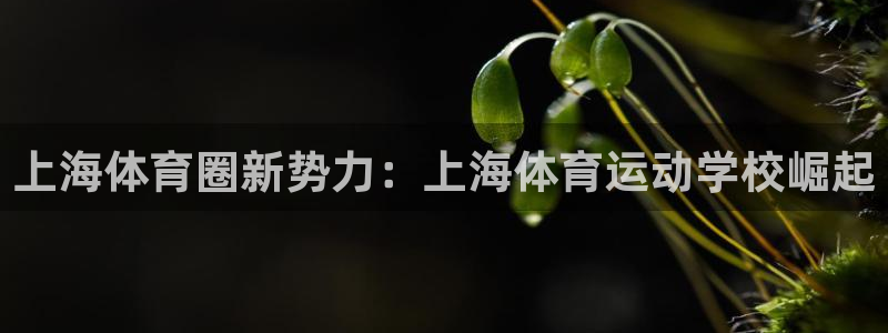 3377体育官网下载招商电话号码：上海体育圈新势力：上海体育
