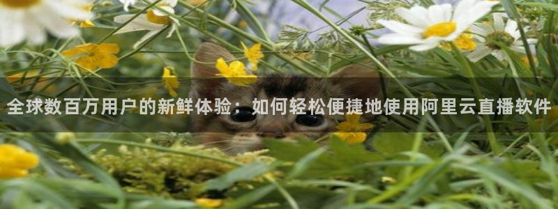 球友直播nba在线直播：全球数百万用户的新鲜体验：如何轻松便捷地使用阿里云直播软件