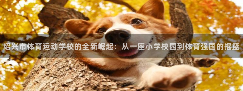 3377体育官网下载平台假的吗是真的吗吗:绍兴市体育运动学校