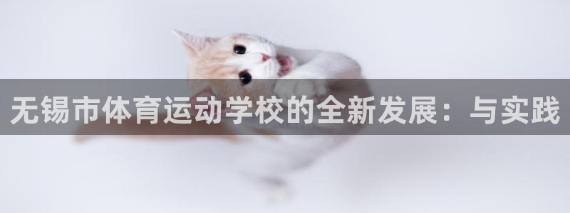 3377体育官方正版app集团简介