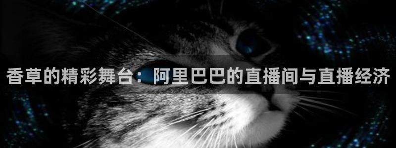 球友直播nba在线直播：香草的精彩舞台：阿里巴巴的直播间与直播经济