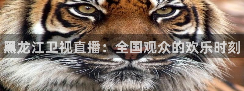 qy千亿球友体育：黑龙江卫视直播：全国观众的欢乐时刻