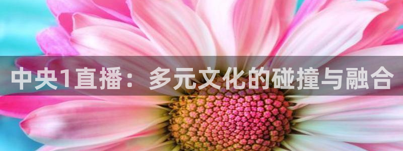 球友直播ios：中央1直播：多元文化的碰撞与融合
